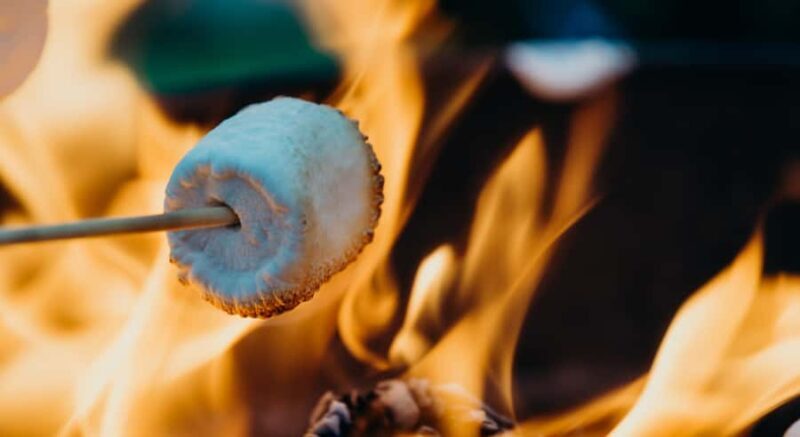 Kelowna Fireside Warm-Up: Wine Tasting, Smores & Mulled Wine - Practical Tips for Visitors