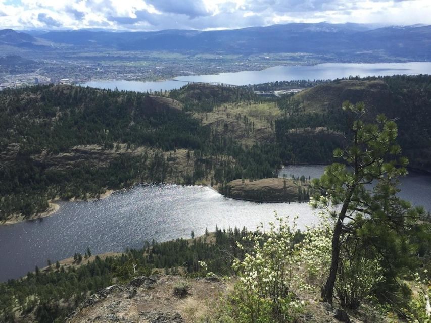 Kelowna: Guided Hiking Tour - Key Points