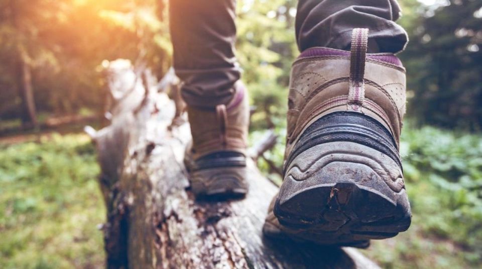 Kelowna: Guided Hiking Tour - Included Tour Amenities