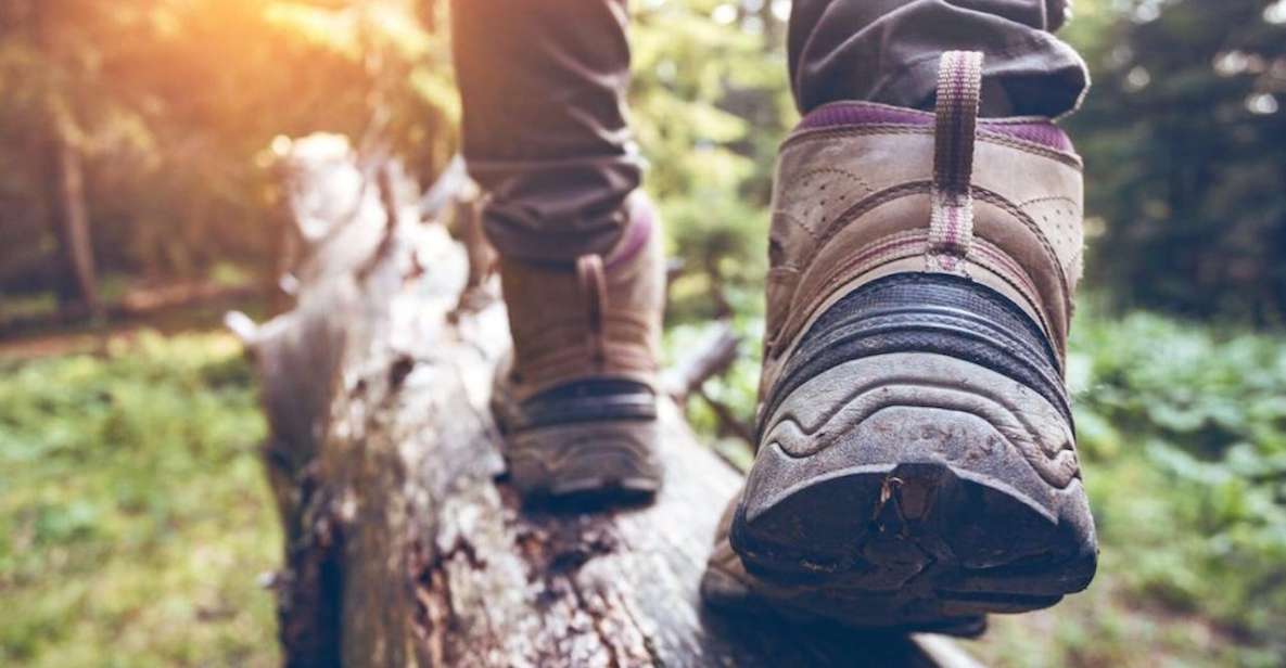 Kelowna: Guided Hiking Tour - Booking Flexibility and Restrictions