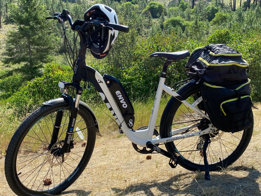 Kelowna: Okanagan Lake Guided E-Bike Tour With Picnic - Key Points