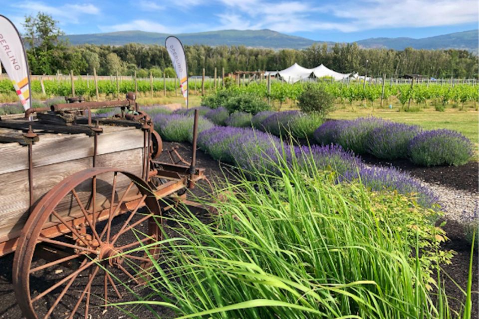 Kelowna: Wine Tasting by E-bike, Smartphone Guide & Lunch - Frequently Asked Questions