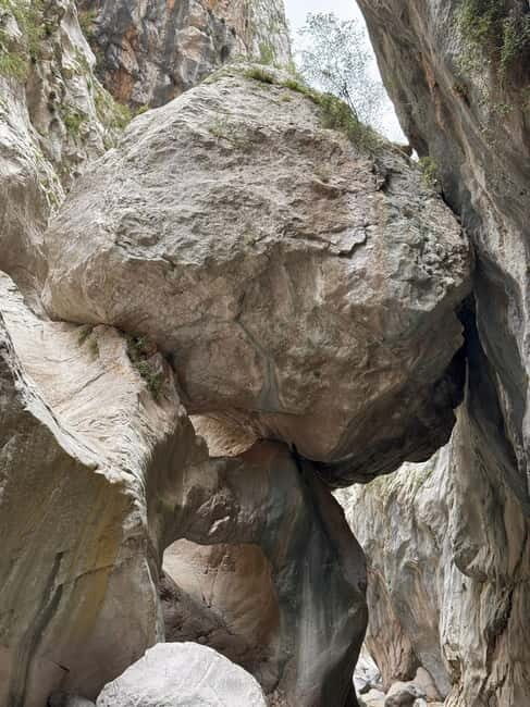 Kemer: Göynük Canyon Tour - Discovering Göynük Canyon: What to Expect