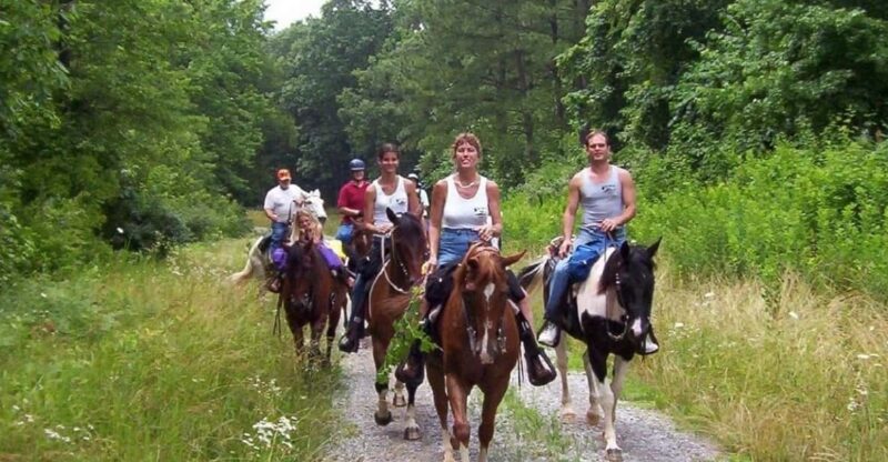 Kemer Horse Safari, Pick up From Kiris, Beldibi, Goynuk - Safety and Suitability Guidelines