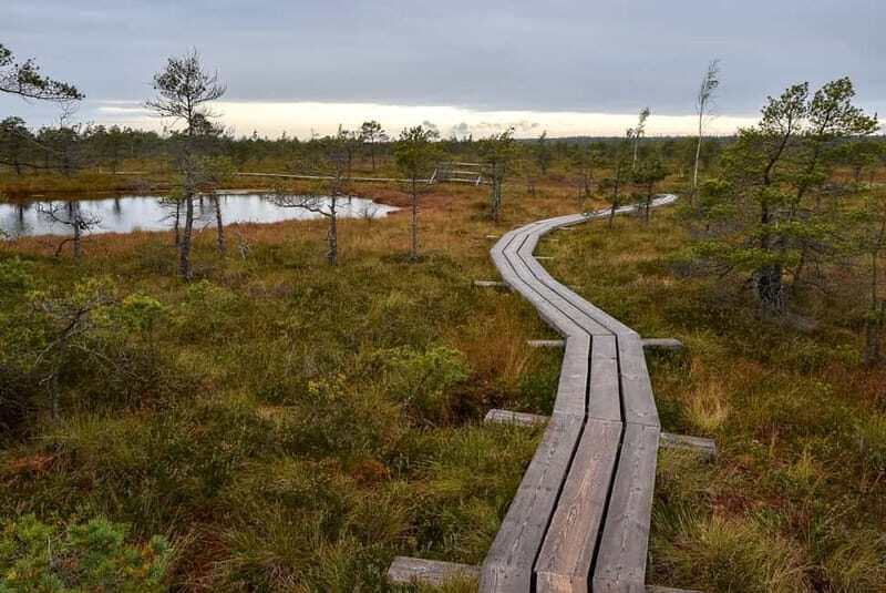 Kemeri National Park & Baltic Seaside Tour Bog Boardwalk - Practical Considerations and Tips