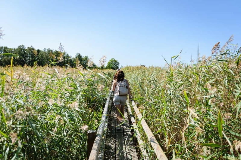 Kemeri National Park & Baltic Seaside Tour Bog Boardwalk - The Bottom Line: Who Is This Tour Best For?