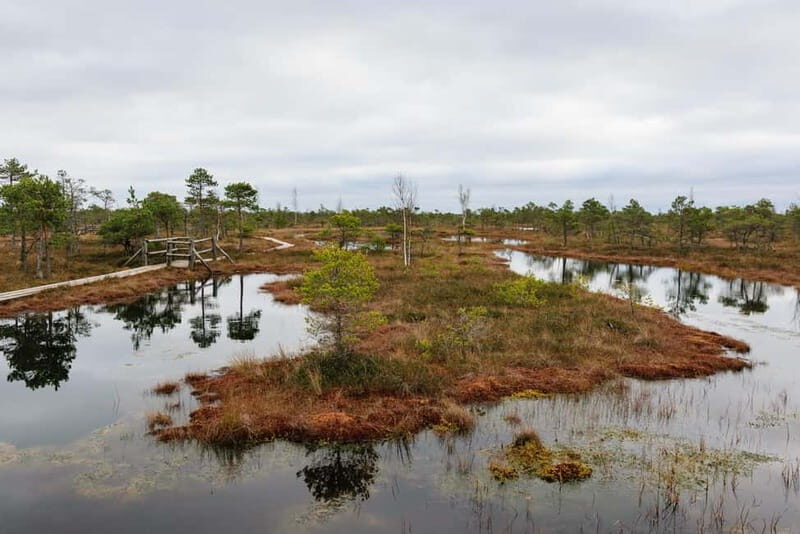 Kemeri National Park & Baltic Seaside Tour Bog Boardwalk - FAQs
