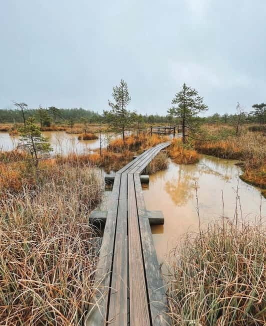 Kemeri National Park Guided Tour - Key Points