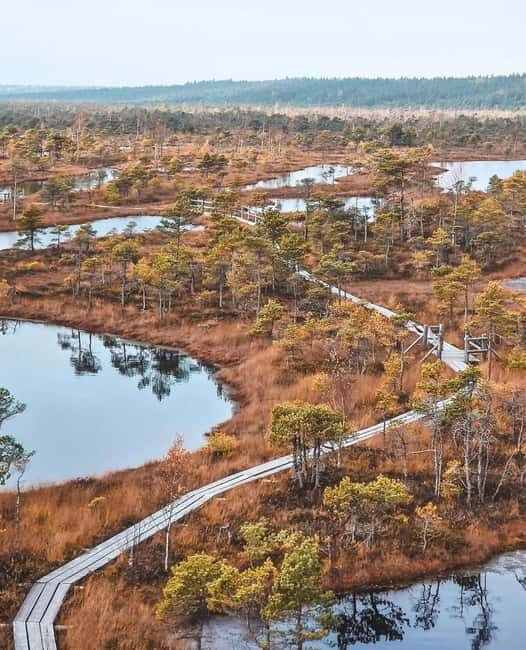 Kemeri National Park Guided Tour - Value and Overall Impression