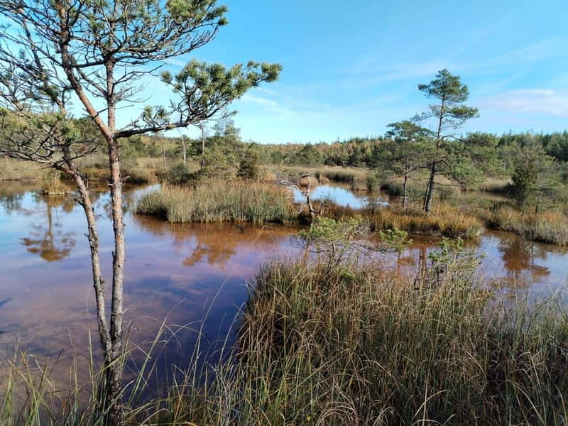 Kemeri National park Hiking trail (16 km) - Visiting Kemeri: What You’ll Love