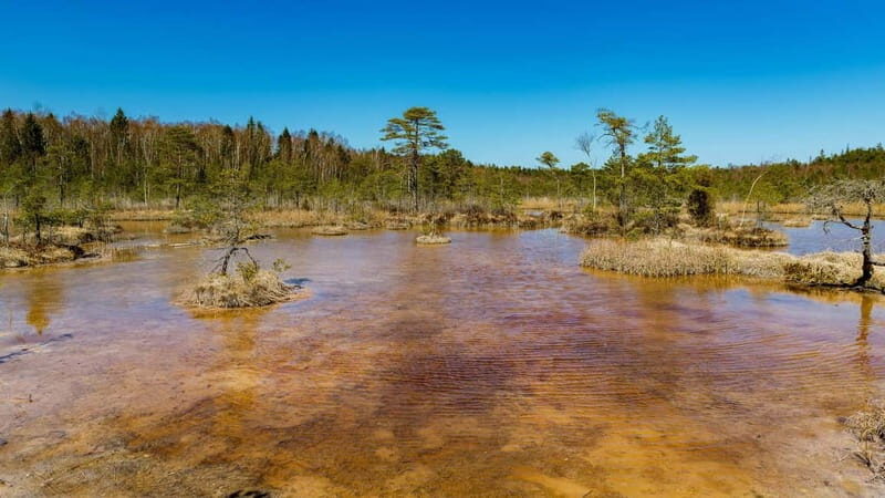 Kemeri National Park Outdoor Tour - Key Points