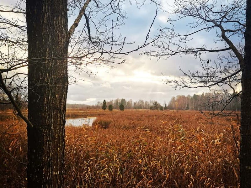 Kemeri National Park Outdoor Tour - Exploring Latvia’s Natural and Historic Treasures