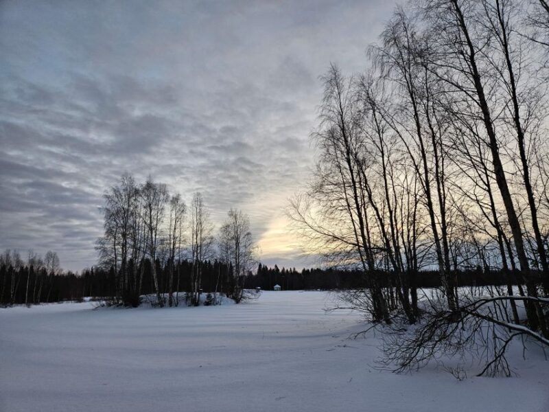 Kemi: Finnish Sight-Skiing Experience in Lapland - Who Will Love This Experience?