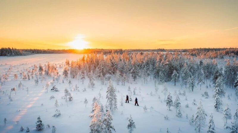 Kemi-Tornio: Nature tour with snowshoes - An In-Depth Look at the Snowshoe Tour