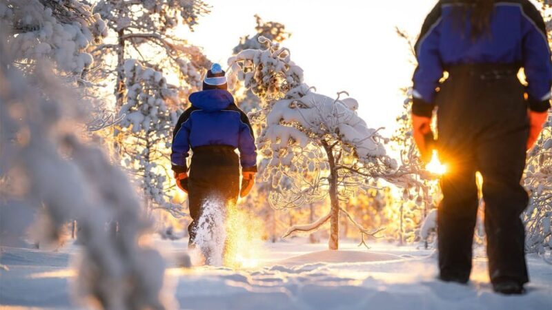 Kemi-Tornio: Nature tour with snowshoes - Final Thoughts: Who Should Consider This Tour?