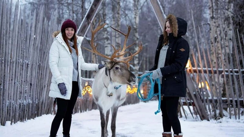 Kemi-Tornio: Reindeer farm experience - An In-Depth Look at the Reindeer Farm Experience