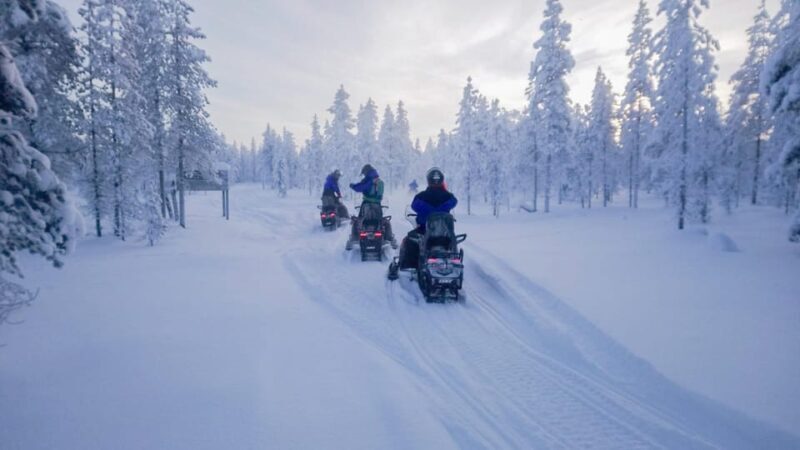 Kemi-Tornio: Snowmobile Forest Safari w/ Hot Drink & Snacks - Kemi-Tornio: Snowmobile Forest Safari w/ Hot Drink & Snacks — An Authentic Arctic Adventure