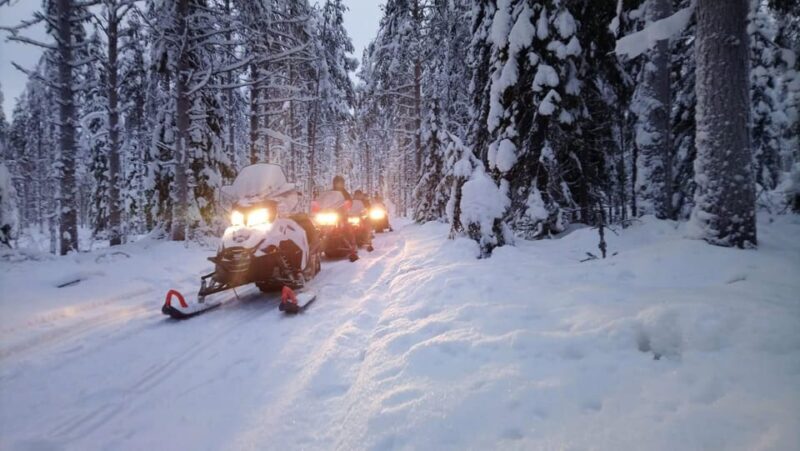 Kemi-Tornio: Snowmobile Forest Safari w/ Hot Drink & Snacks - What Sets This Tour Apart