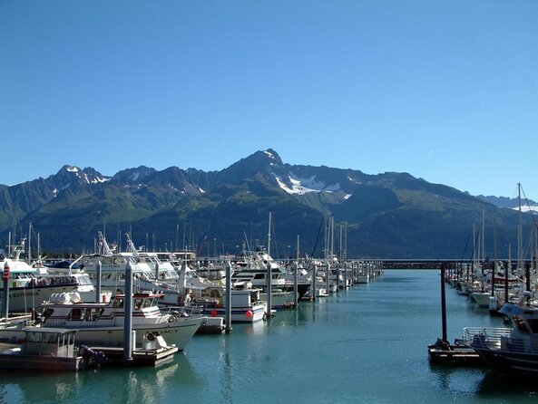 Kenai Fjords and Resurrection Bay Half-Day Wildlife Cruise - Recommendations