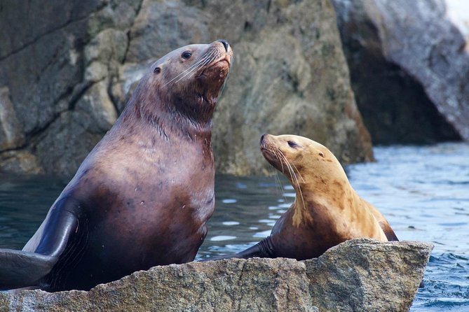 Kenai Fjords National Park Glacier & Wildlife Cruise - Inclusions and Amenities