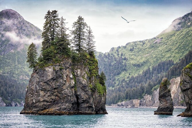 Kenai Fjords National Park Glacier & Wildlife Cruise - Recap