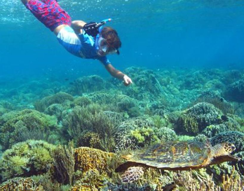 Kenawa Island One Day Tour Package (Start Lombok) - Tour Highlights