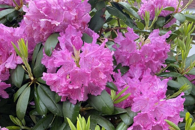 Kennebunkport Historic District Garden Stroll - Questions About Your Stay