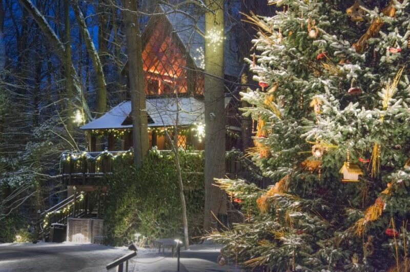 Kennett Square: Longwood Gardens Admission Ticket - Introduction: Why Longwood Gardens Deserves a Spot on Your Travel List