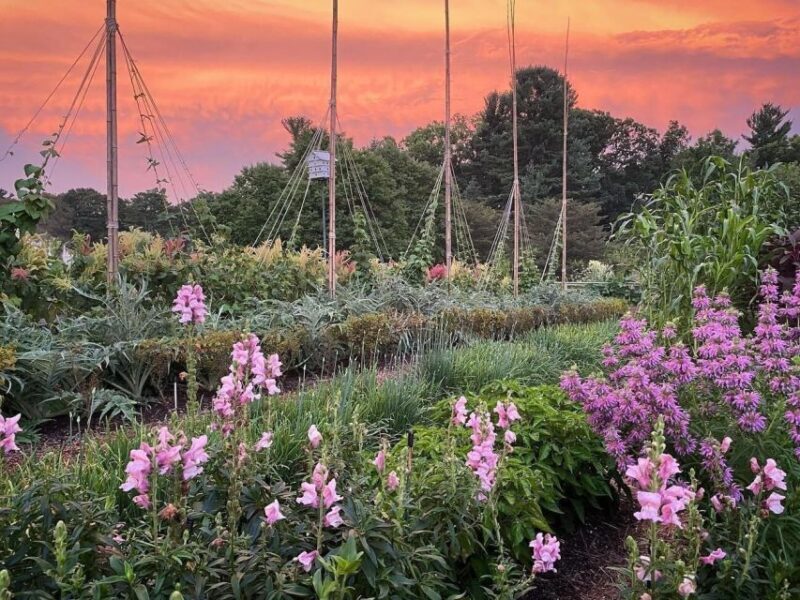 Kennett Square: Longwood Gardens Admission Ticket - Guided Tours and Educational Opportunities