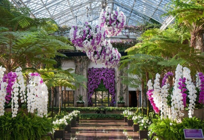 Kennett Square: Longwood Gardens Admission Ticket - Exploring the Gardens: What Youll See and Do