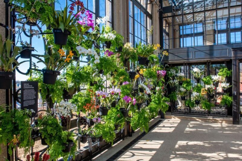 Kennett Square: Longwood Gardens Admission Ticket - Authentic Experiences and Visitor Feedback