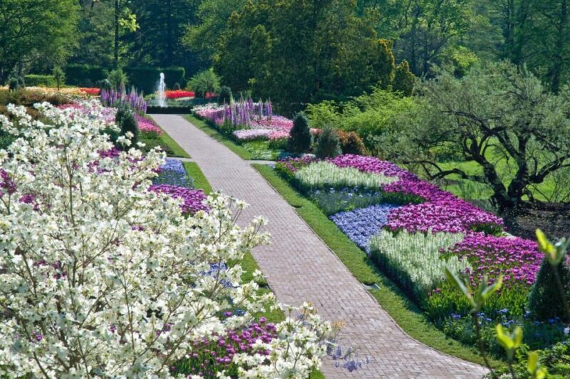 Kennett Square: Longwood Gardens Admission Ticket - Who Should Visit Longwood Gardens?