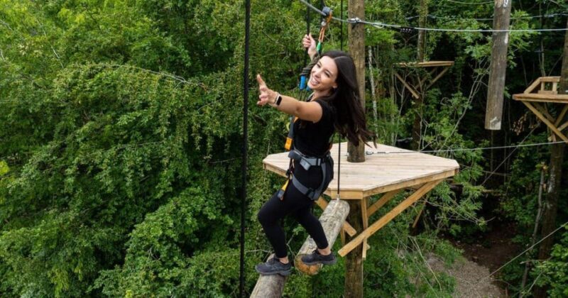 Kent: Treetop High Ropes Adventure Course - Value for Money