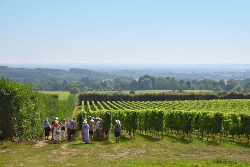 Kent: Yotes Court Vineyard Tour and Tasting - Winemaking Process Insights
