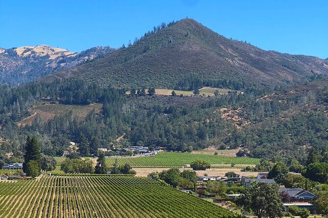 Kenwood Wine Country Electric Trike 3 Hours Tour - A Deep Dive Into the Electric Trike Experience