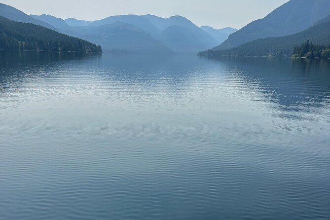 Keogh River Bear Kayaking Tour - A Detailed Look at the Keogh River Bear Kayaking Tour