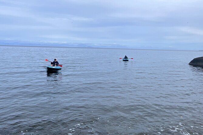 Keogh River Bear Kayaking Tour - What Travelers Say About the Tour
