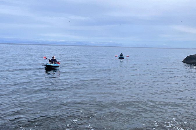 Keogh River Bear Kayaking Tour - The Sum Up: Who Will Love This Tour?