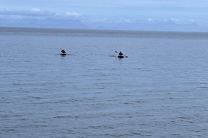 Keogh River Bear Kayaking Tour - FAQ about the Keogh River Bear Kayaking Tour