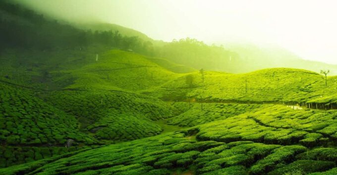 Kerala by Car & Driver: 9 Day Tour With Houseboat Stay - Packing Essentials