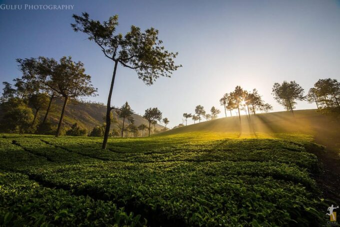 Kerala by Car & Driver: 9 Day Tour With Houseboat Stay - Important Notes