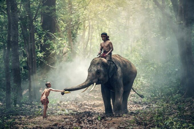 Kerala by Car & Driver: 9 Day Tour With Houseboat Stay - The Sum Up