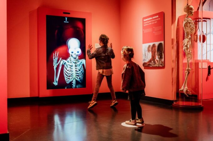 Kerkrade: Discovery Museum Entry Ticket - Frequently Asked Questions