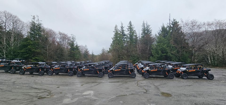 Ketchikan: Adventure Kart Expedition - Highlights of the Adventure