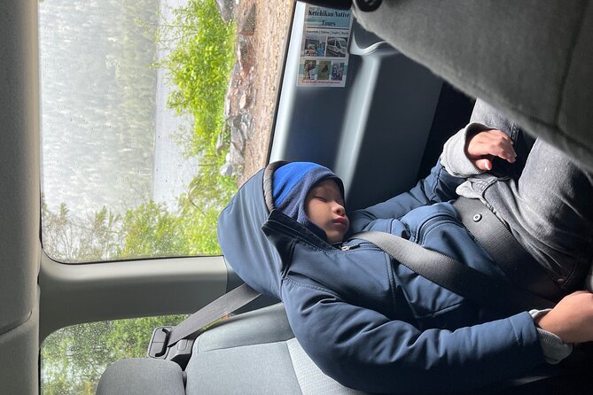 Ketchikan Authentic Native Experience Private Tour for up to 6 - Accessibility Features