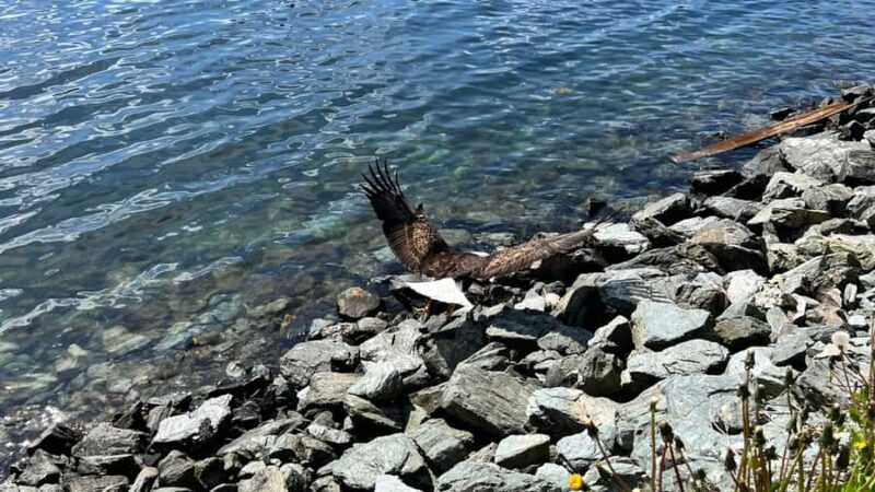 Ketchikan: City Tour, Saxman Village, & Salmon Tasting - Key Points