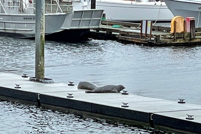 Ketchikan Duck Tour - Cancellation Policy