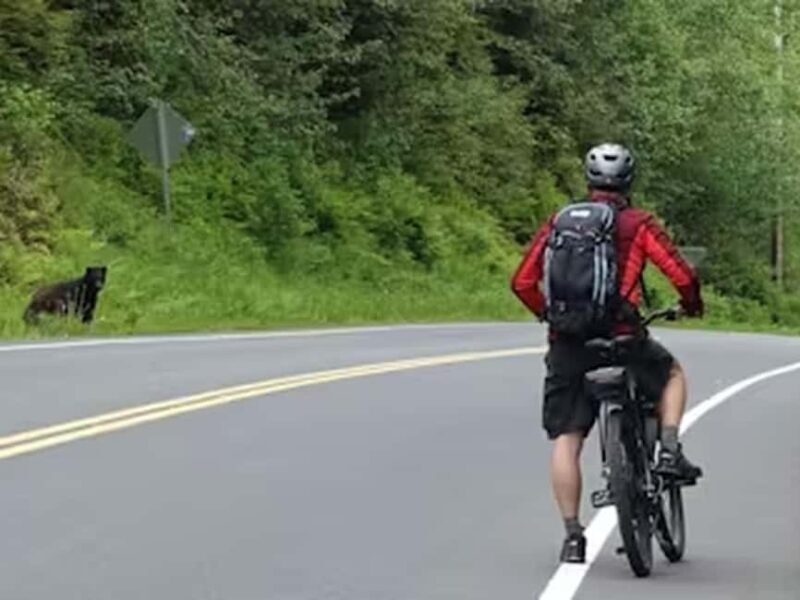 Ketchikan: E-Bike and Hike Tour - An Overview of the E-Bike and Hike Tour Experience