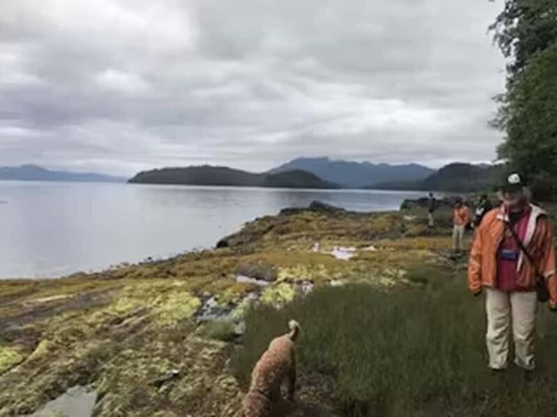 Ketchikan: E-Bike and Hike Tour - The Guided Hike: Nature and Wildlife