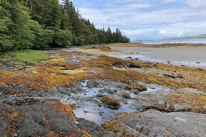 Ketchikan Electric Bike and Rain Forest Hike Ecotour - Additional Information